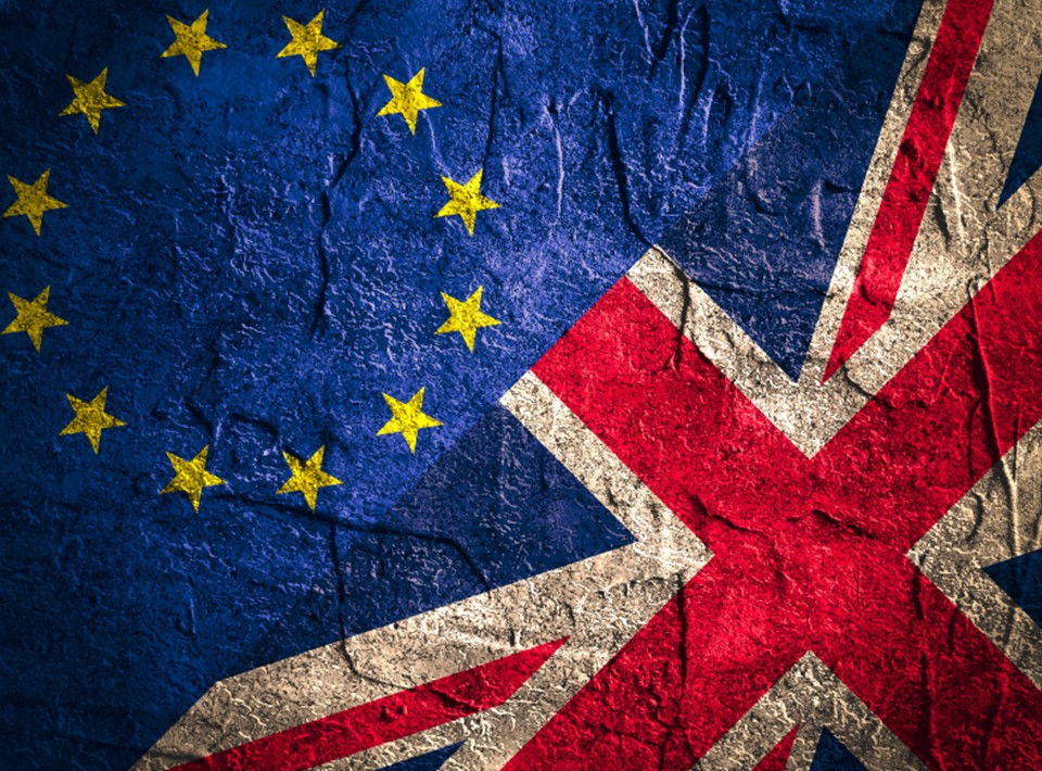 New Simply Wealth Blog: The Brexit Debate